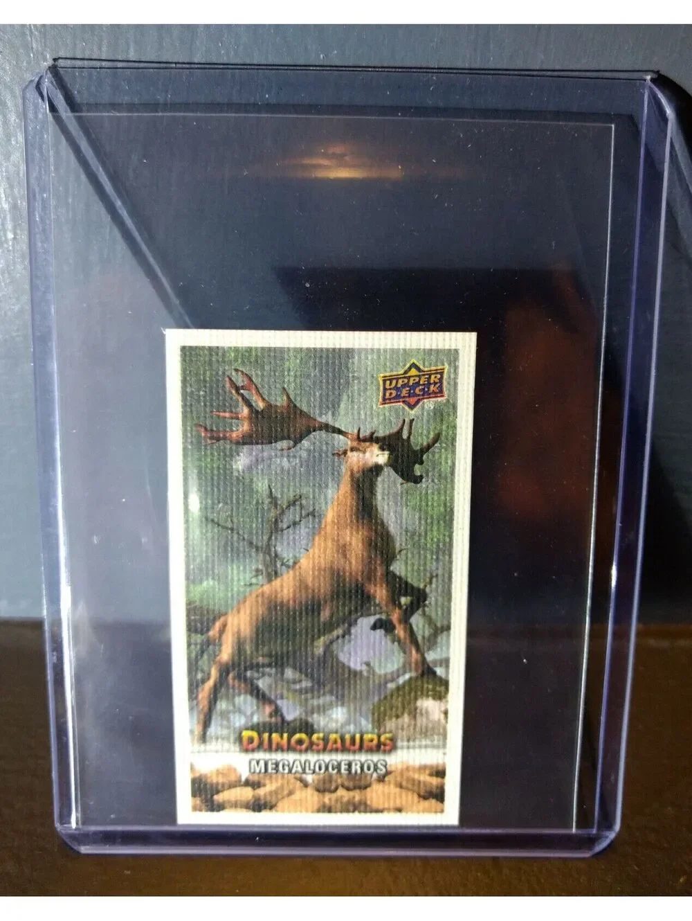 2015 Upper Deck Dinosaurs Canvas Mini Megaloceros #141 Trading Card